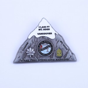Wholesale personalized custom metal die casting double sided 3D antique gold plated masonic challenge coins
